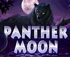 Panther Moon